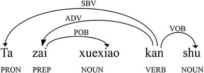 Syntactic Networks of Interlanguage Across L2 Modalities and Proficiency Levels